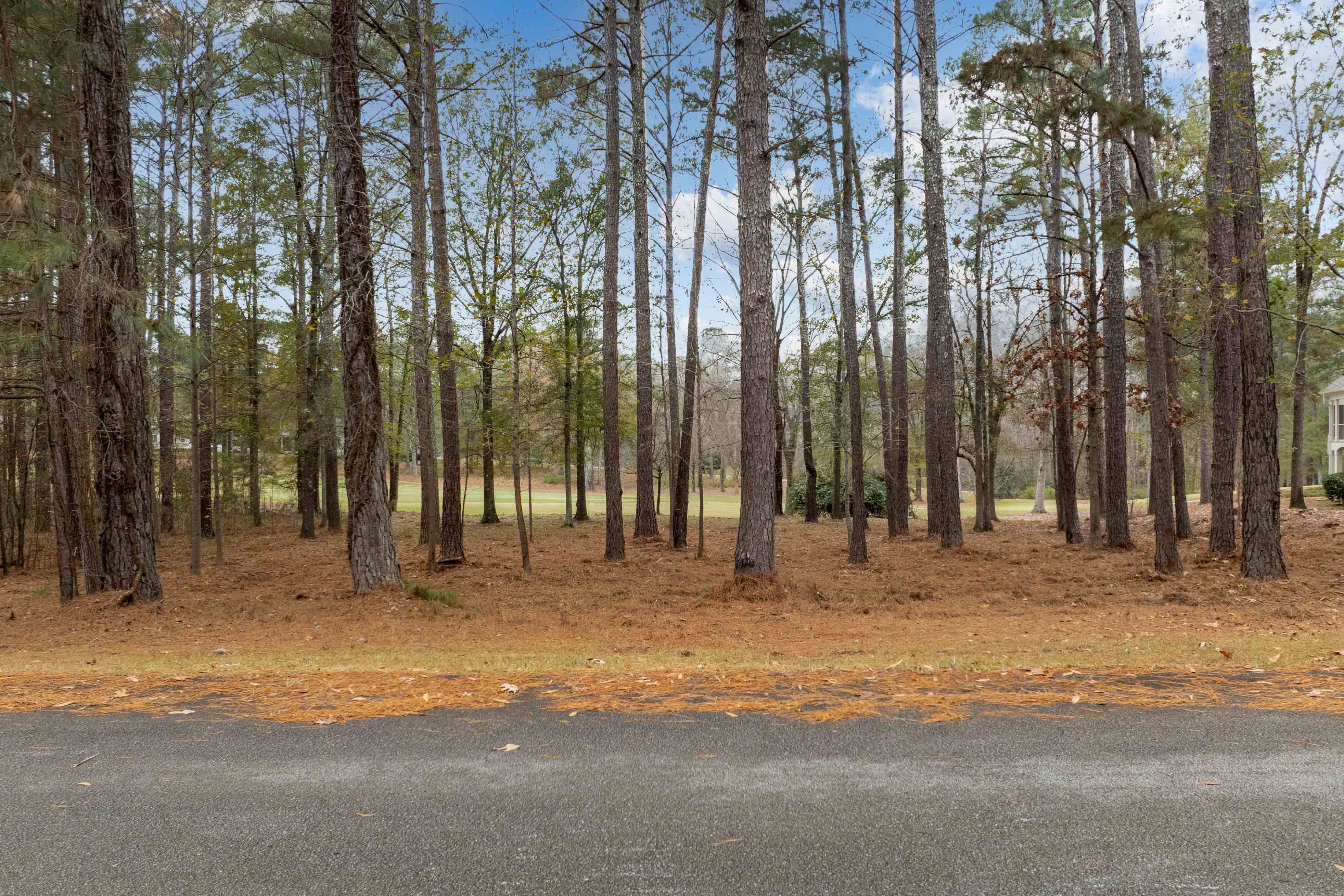 164 Hopeton Lane image 3